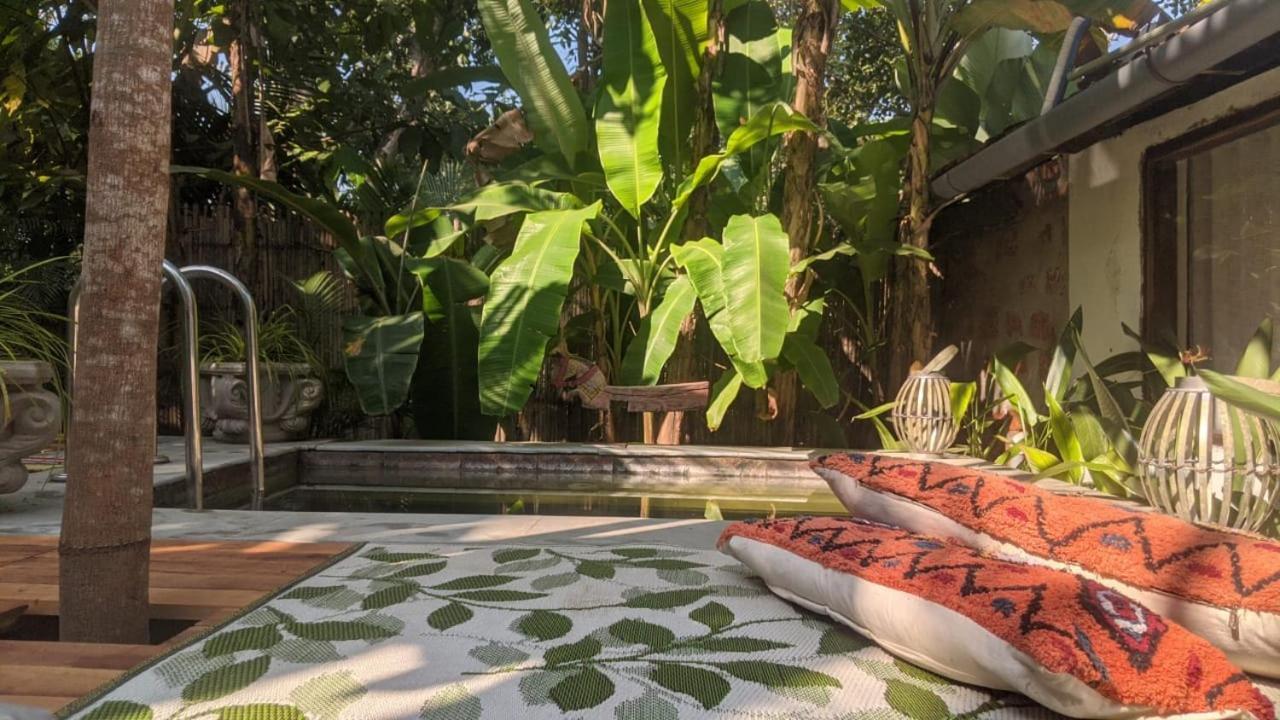 Sunsets And Palm Trees Bed and Breakfast Alappuzha Εξωτερικό φωτογραφία