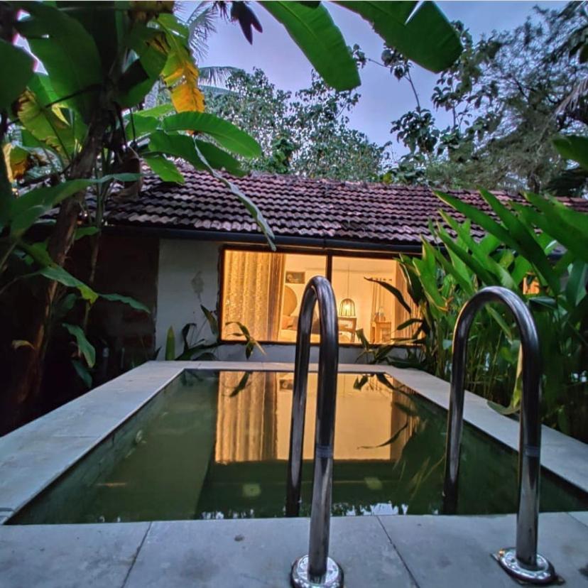 Sunsets And Palm Trees Bed and Breakfast Alappuzha Εξωτερικό φωτογραφία